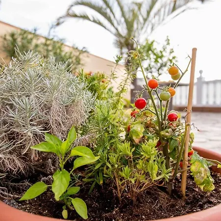 Διαμέρισμα El Veril Del Duque 2 Bedroom With A View *